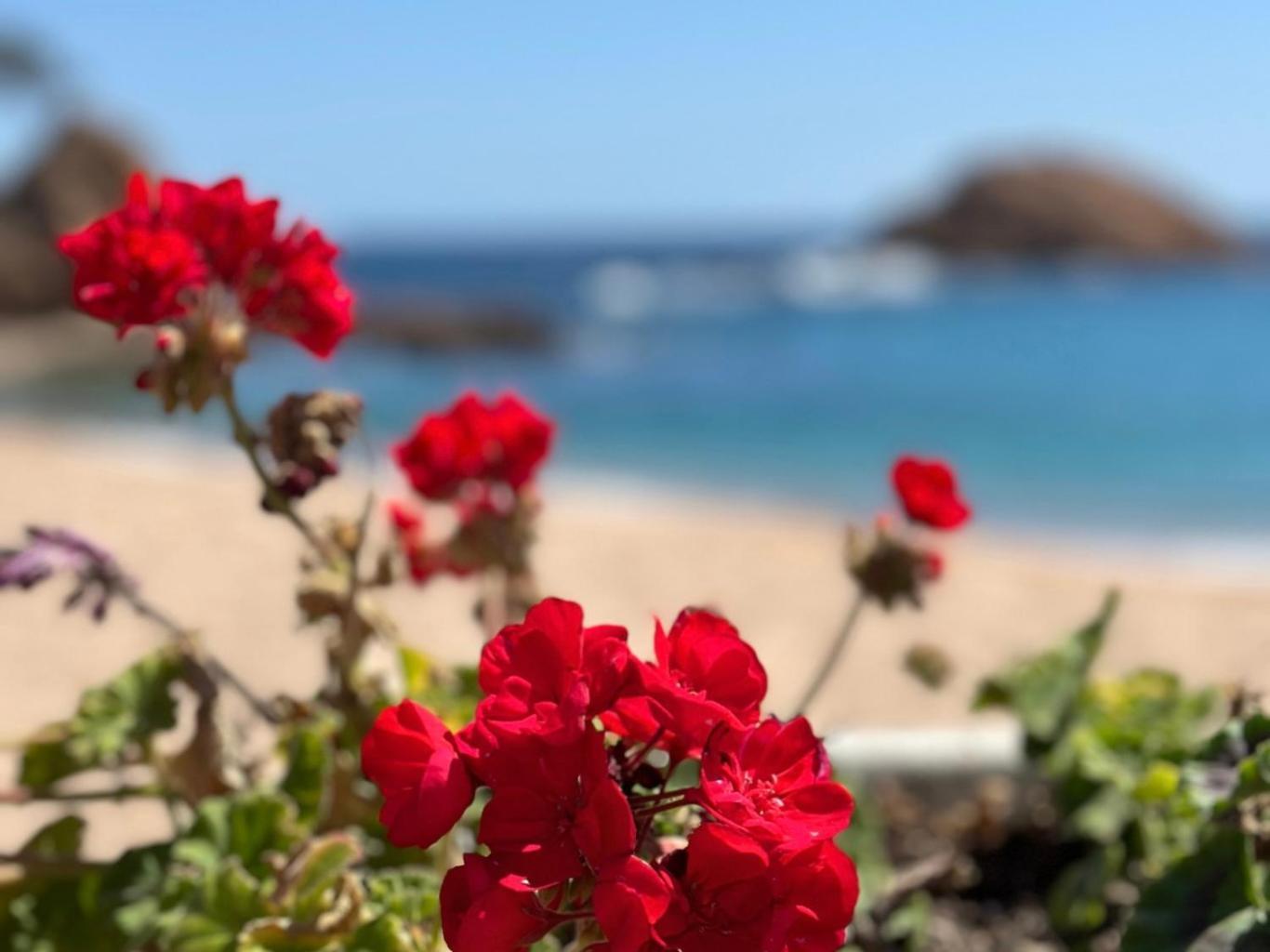 Apartamento Ático con Vistas al Mar a un Paso del Centro Blanes Exterior foto